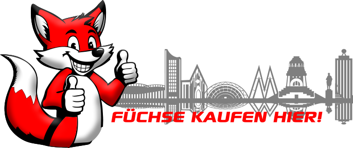 Autohaus Kapust